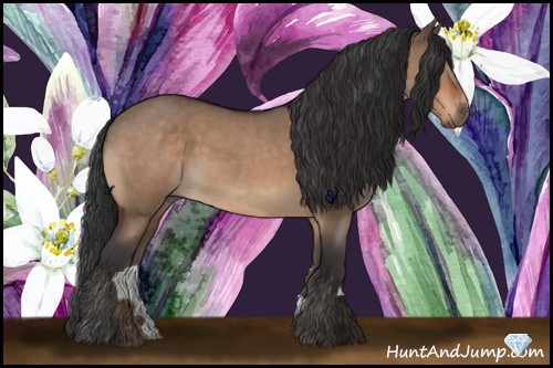 Horse Color:Brown Roan Dun Sabino