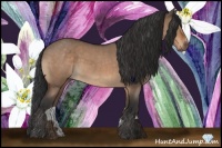 Horse Color:Brown Roan Dun Sabino 