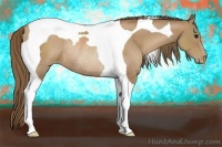 Horse Color:Black Pearl Tobiano Rabicano 