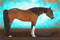 Horse Color:Brown 