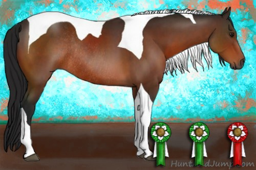 Horse Color:Gray Brown Tobiano Rabicano 