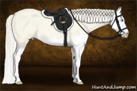 Horse Color:Cremello Roan Dun Splash 