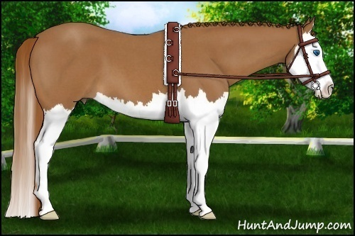 Horse Color:Red Roan Sabino Splash 