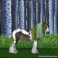 Horse Color:Painted Liver Chestnut Sabino Splash Tobiano Appaloosa