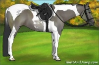 Horse Color:Grullo Tobiano 