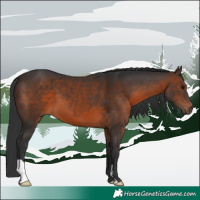 Horse Color:Brown 
