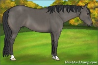 Horse Color:Grullo Brindle