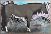 Horse Color:Grullo Brindle 