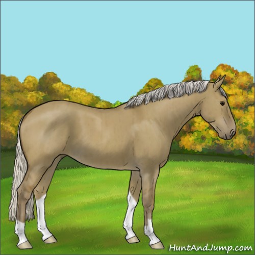 Horse Color:Silver Smoky Grullo Brindle 