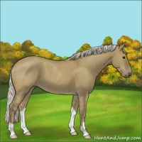 Horse Color:Silver Smoky Grullo Brindle 