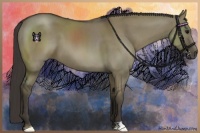 Horse Color:Smoky Grullo 