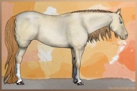 Horse Color:Smoky Grullo Pearl 