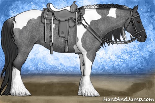 Horse Color:Blue Roan Tobiano 