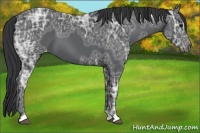 Horse Color:Black Ice Varnish 