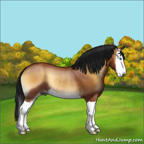Horse Color:Gray Bay Onyx Splash Rabicano 