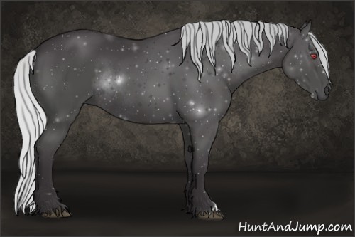 Horse Color:Silver Smoky Black Chinchilla Rabicano 