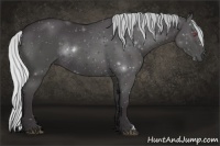 Horse Color:Silver Smoky Black Chinchilla Rabicano