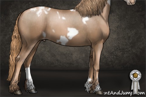 Horse Color:White Spotted Liver Chestnut Pearl Frame Appaloosa 