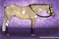 Horse Color:White Spotted Silver Smoky Grullo 