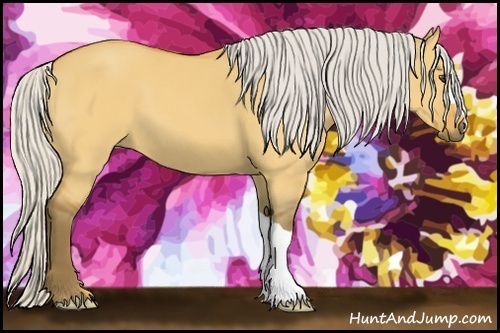 Horse Color:Silver Buckskin Dun 