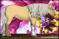 Horse Color:Silver Buckskin Dun 