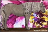 Horse Color:Silver Grullo
