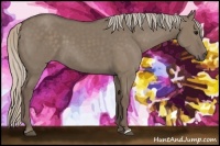 Horse Color:Silver Grullo 