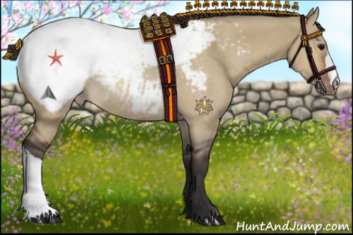 Horse Color:Bay Dun Appaloosa Rabicano 