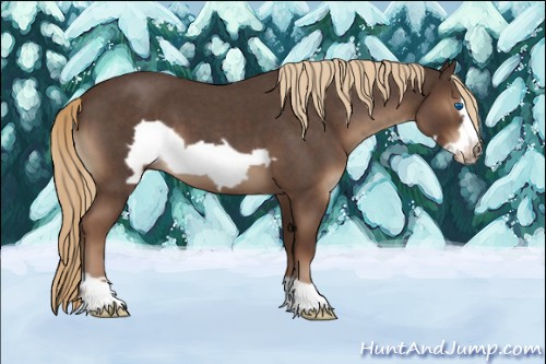 Horse Color:Liver Red Roan Frame
