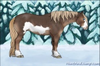 Horse Color:Liver Red Roan Frame 