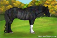Horse Color:Midnight Black Rabicano 