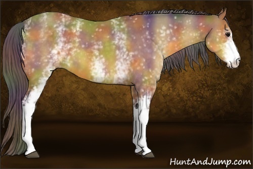 Horse Color:Nacre White Spotted Buckskin 
