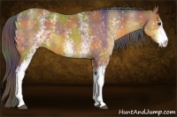 Horse Color:Nacre White Spotted Buckskin