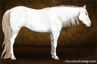 Horse Color:Gold Champagne Ice Tobiano Blanket