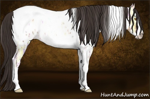 Horse Color:Sable Champagne Ice Sabino Splash Tobiano Appaloosa 