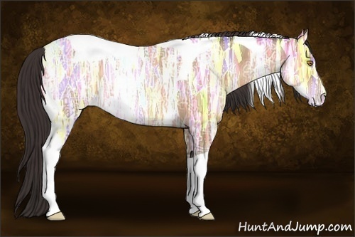 Horse Color:Sable Champagne Ice Tobiano 