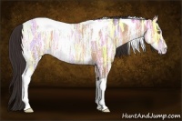 Horse Color:Sable Champagne Ice Tobiano 
