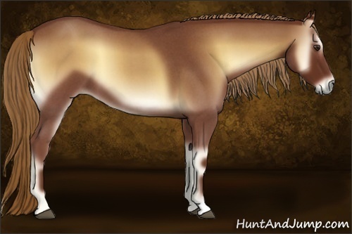 Horse Color:Red Onyx Roan 