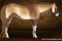 Horse Color:Red Onyx Roan 