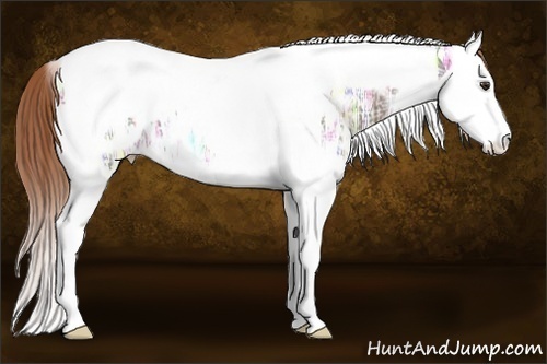 Horse Color:Liver Chestnut Ice Splash Tobiano Blanket 