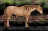Horse Color:Brown Pearl 