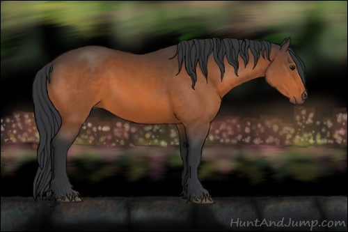 Horse Color:Bay Sabino 
