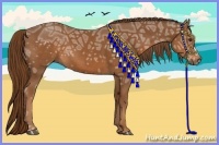 Horse Color:Chestnut Ice 