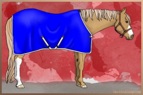 Horse Color:Palomino