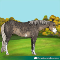 Horse Color:Silver Smoky Black Sabino 
