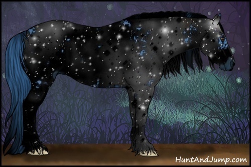 Horse Color:ERROR: UNKNOWN ANOMALY