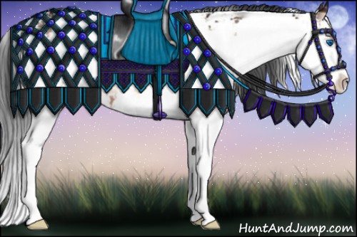Horse Color:Bay Onyx Sabino Splash