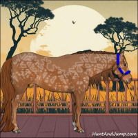 Horse Color:Chestnut Ice 