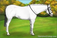 Horse Color:White Spotted Black Ice Tobiano Frame 