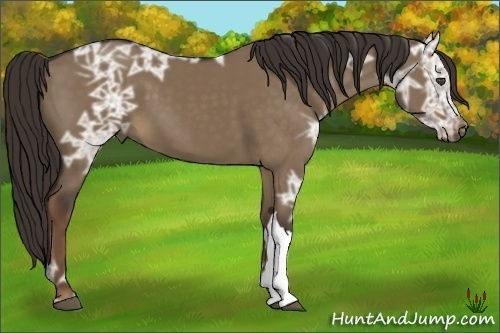 Horse Color:Liver Red Dun Ice 